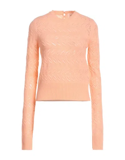 Sportmax Sweaters In Pink