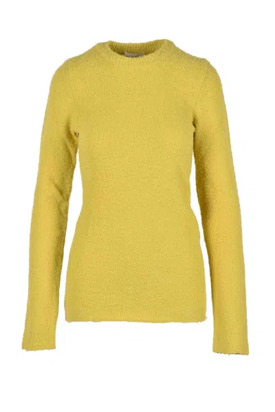 Sportmax Wool Angora Sweater - Yellow In Green
