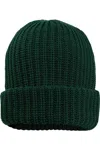 Sportsman 12 Chunky Knit Cuffed Beanie In Green