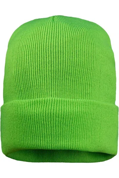 Sportsman Fleece Lined 12 Cuffed Beanie In Green