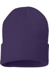 Sportsman Solid 12 Cuffed Beanie In Purple