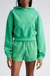 Sporty And Rich Connecticut Crest Cropped Printed Cotton-jersey Hoodie In Verde