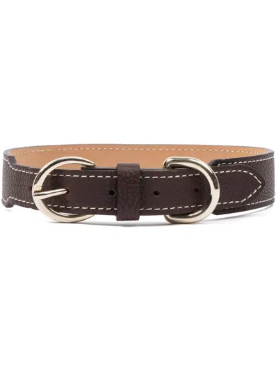 Sporty And Rich Double-buckled Leather Dog Collar In Brown