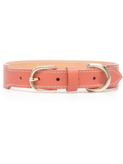 Sporty And Rich Leather Pet Collar In Rosa