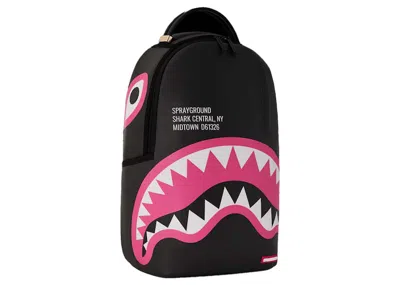 Pre-owned Sprayground Shark Central Dlxsv Backpack In Black/pink