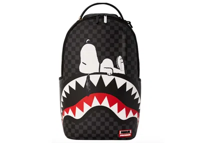 Pre-owned Sprayground X Peanuts Snoopy Sunday Chilling (dlxv) Backpack In Black/grey