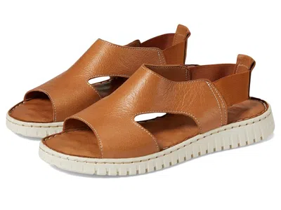 Spring Step Abadessa In Brown