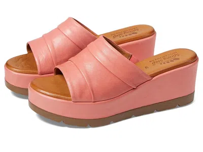 SPRING STEP ALLERTON