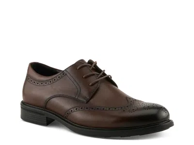Spring Step Kotan Oxford In Brown