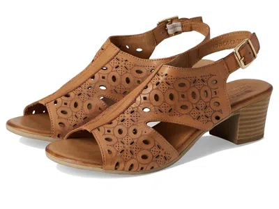 SPRING STEP KOVACH