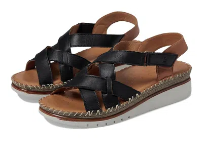 SPRING STEP MIGULA