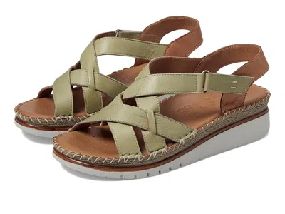 Spring Step Migula In Green