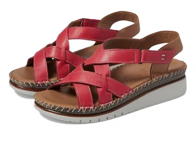 Spring Step Migula In Burgundy