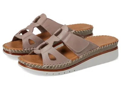 SPRING STEP MONTERA