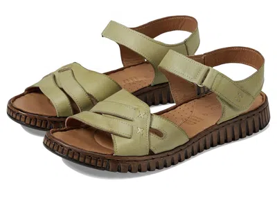Spring Step Nochella In Green
