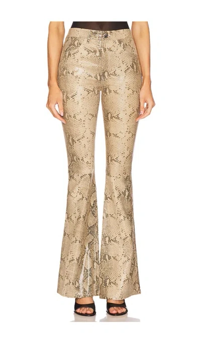 Sprwmn 5 Pocket Micro Flare In Brown