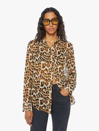 Sprwmn Fitted Button Up Shirt In Leopard