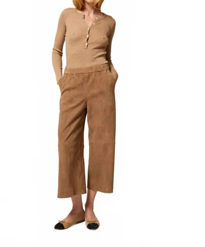 Sprwmn Suede Culotte Pant In Taupe In Brown