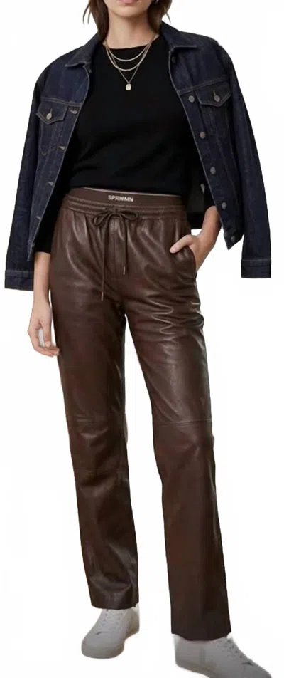 Sprwmn Women's Drawstring Straight Leg Pant In Americano In Multi