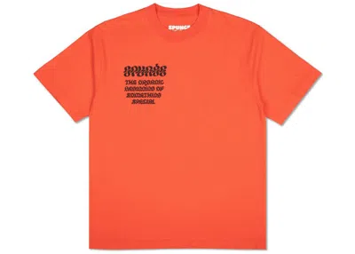 Pre-owned Spunge Men's  X Salehe Bembury Something Special T-shirt In Panang