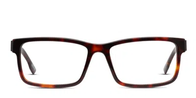 Spy Optic Spy Hale Brown Tortoise Black Brown,tortoise,black
