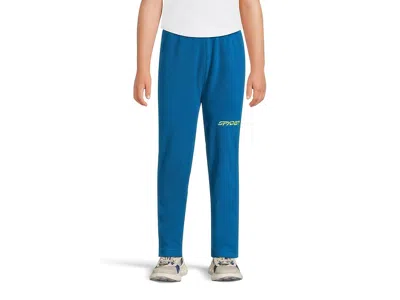 Spyder Expedition Pants (toddler/little Kid) Boy's Casual Pants Cobalt : 2t Toddler, Polyester In Blue