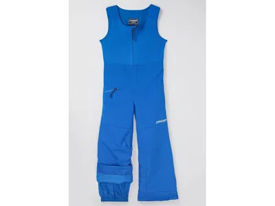 Spyder Expedition Pants (toddler/little Kid) Boy's Casual Pants Cobalt : 5 Little Kid, Polyester In Blue