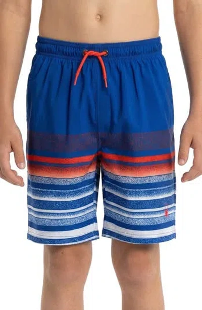 Spyder Kids' Stippled Stripe Volley Swim Trunks In Blue