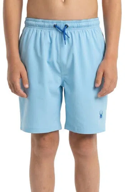 Spyder Kids' Volley Swim Shorts In Blue