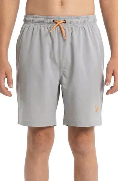 Spyder Kids' Volley Swim Shorts In Gray