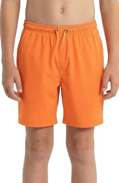 Spyder Kids' Volley Swim Shorts In Orange