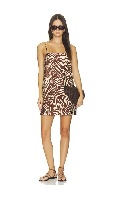 Srg Amanda Mini Dress In Raya Zebra Animal Print