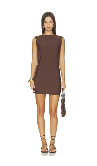Srg Eisley Knit Mini Dress In Coffee