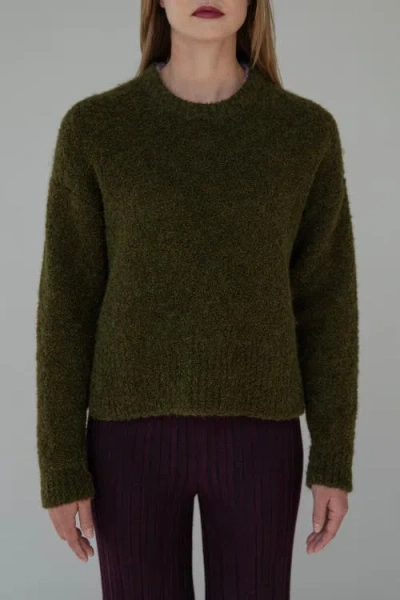 Sskein Belle Boucle Pullover In Green