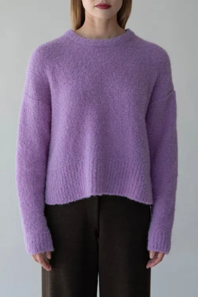 Sskein Belle Boucle Pullover In Purple