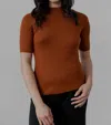 Sskein Mock Neck Ribbed Pullover In Rust In Multi