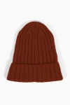 Sskein Ribbed Beanie