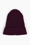 Sskein Ribbed Beanie In Aubergine