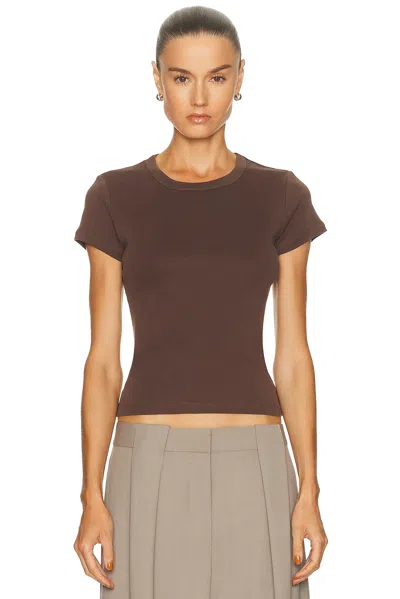 St Agni Organic Cotton Baby Tee In Brown