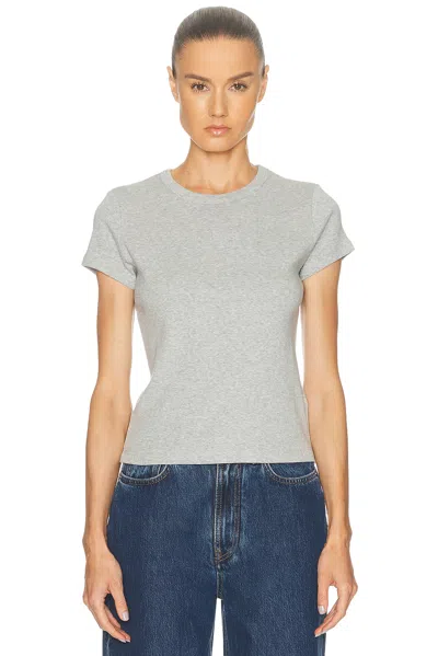 St Agni Organic Cotton Baby Tee In Gray