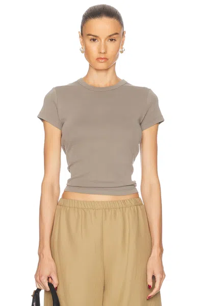 St Agni Organic Cotton Baby Tee In Slate