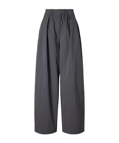 St Agni Pleated Casual Pants In Gray