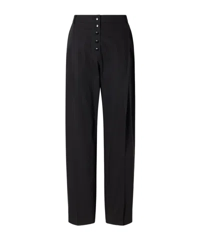 St Agni Pleated Wool Wide-leg Pants In Transparent