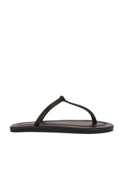 St Agni T Slide Sandal In Brown