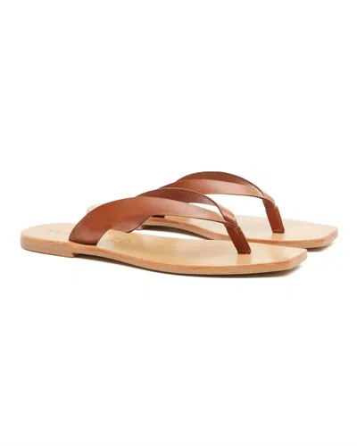 St Agni Women's Basik Slide In Tan In Brown