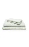 St. Frank Suzani Vines Cotton King Sheet Set In Green