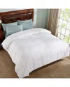 St. James Home 233 Thread Count Down Comforter