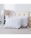 St. James Home Twin Pack Charcoal Infused Down Alternative Pillow In White