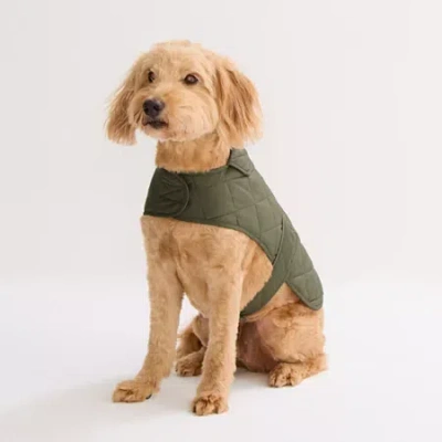 St. Johns Bark Animal Dog Coat In Green