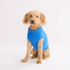 St. Johns Bark Dog Sweater In Blue